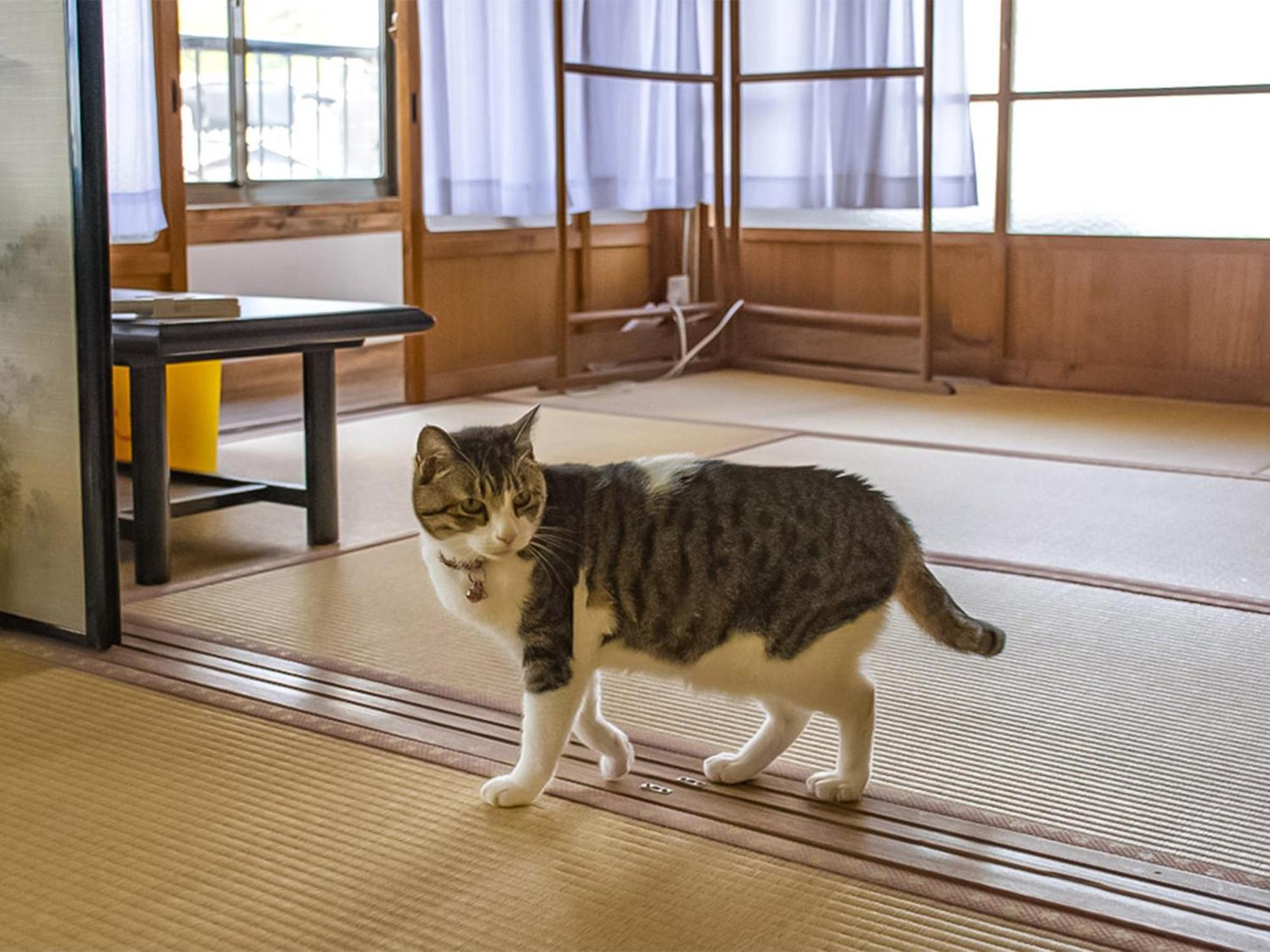 Hotel Guest Cafe Kuchikumano Kamitondacho Zewnętrze zdjęcie