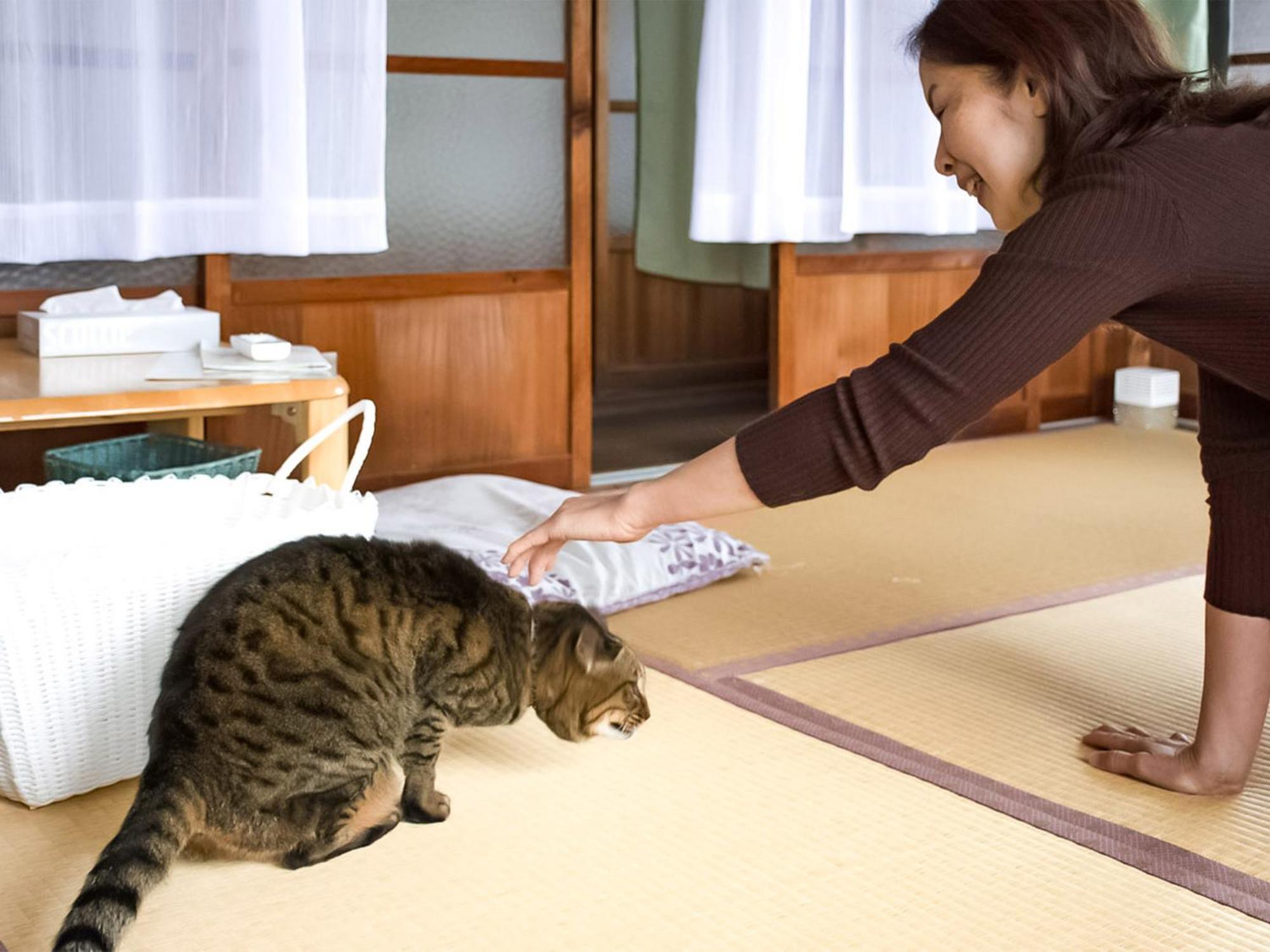 Hotel Guest Cafe Kuchikumano Kamitondacho Zewnętrze zdjęcie