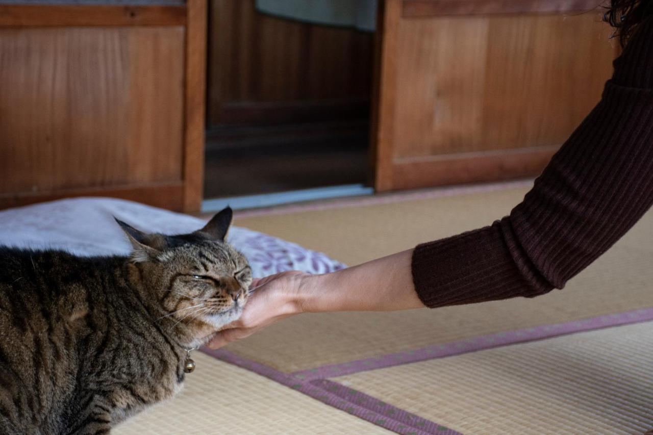 Hotel Guest Cafe Kuchikumano Kamitondacho Zewnętrze zdjęcie